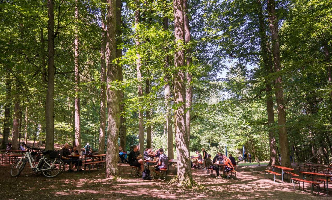 Brauereigasthof Zum Loewenbraeu Adelsdorf Exterior photo
